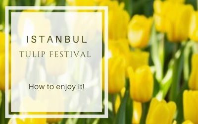 Istanbul Tulip Festival 2024. How to enjoy it!