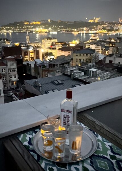 Furnished apartments in Istanbul - the view from Pasha Penthouse Apartment